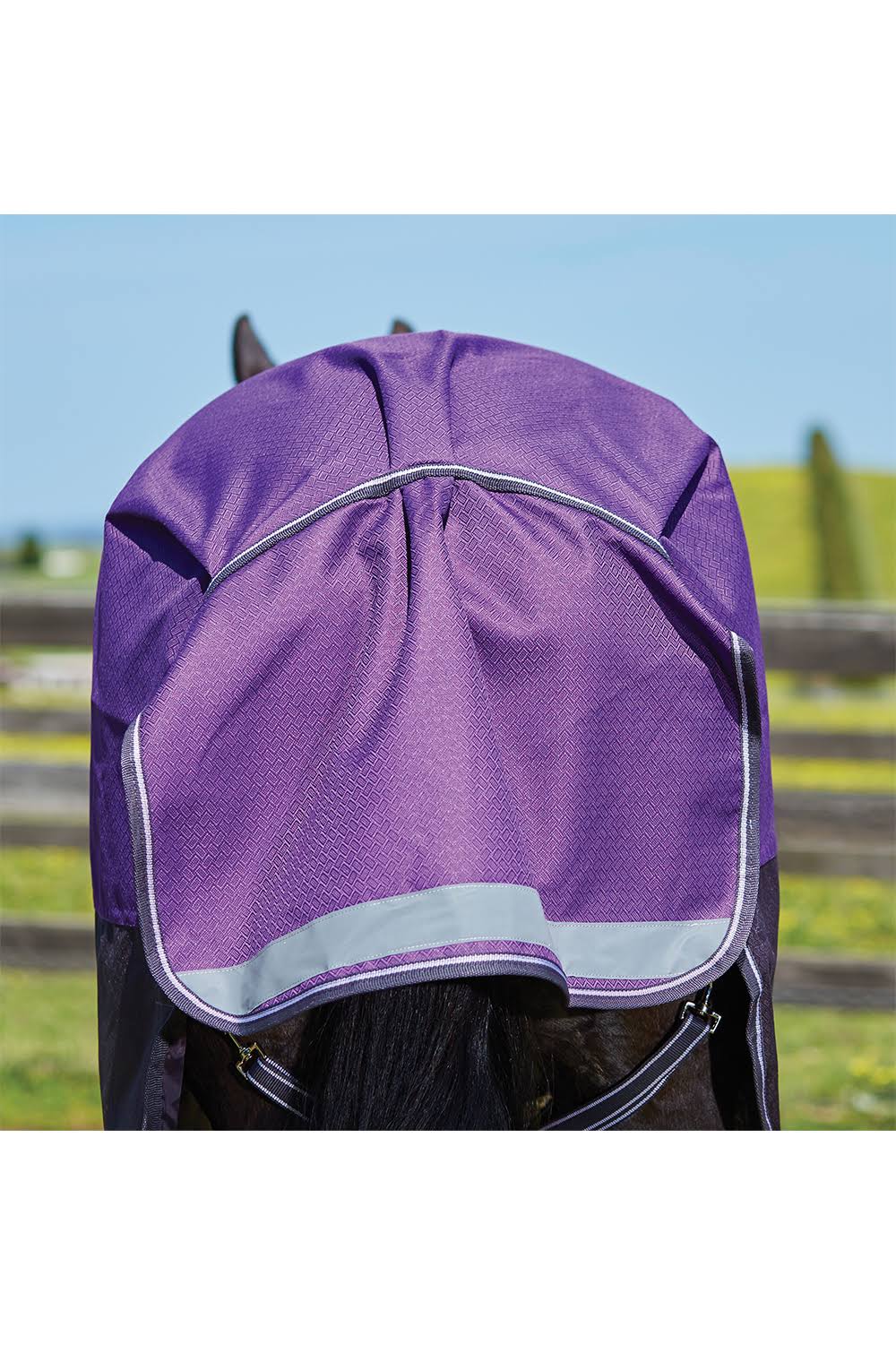 Purple Medium Lite Standard Neck Horse Blanket U8556