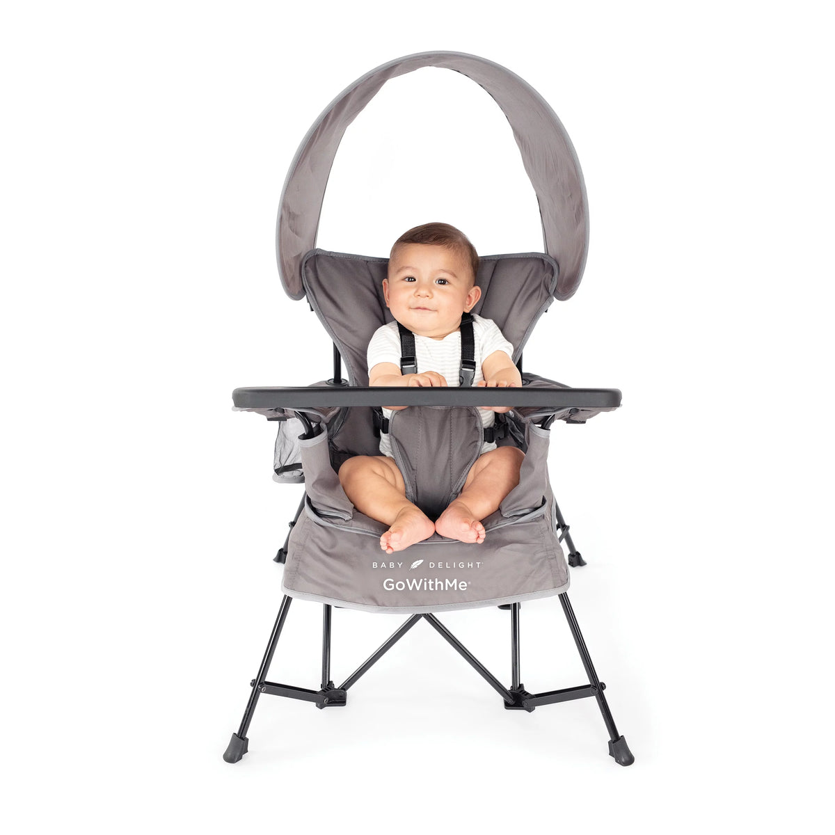 Portable Infant Chair with Removable Canopy, Teal D427