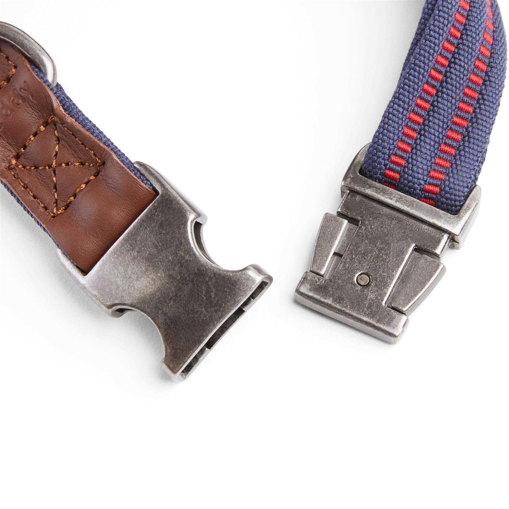 Webbed Dog Collar V333