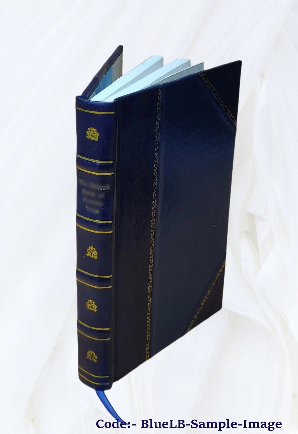 Leather Bound Z454