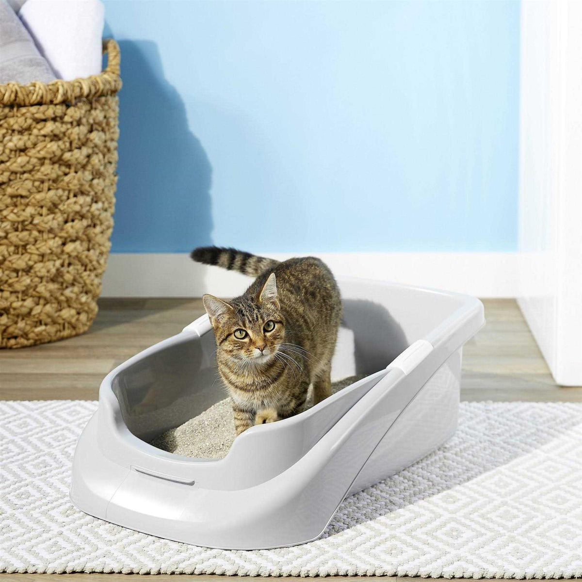 Litter Pan U731274