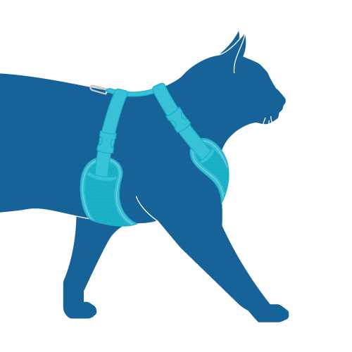 Cat Harness Z2134