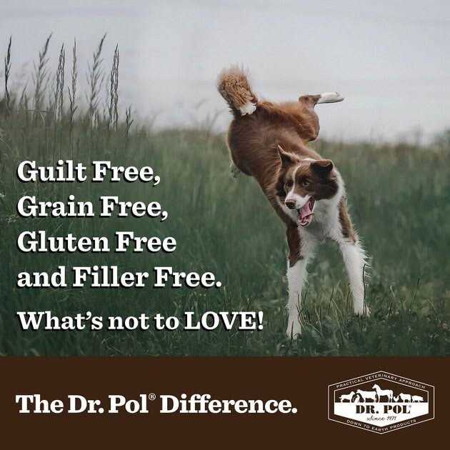 Freeze Dried Salmon Dog Treat and Meal Topper S709