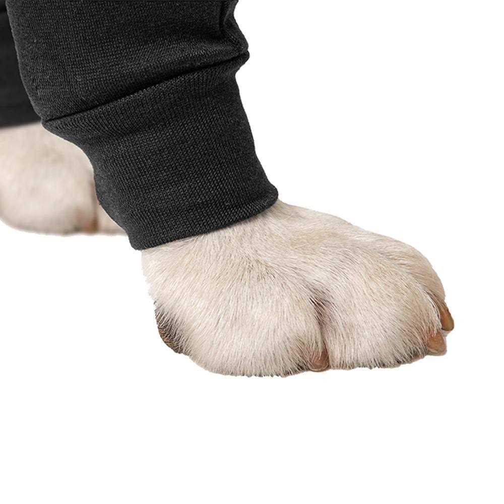 Dog Recovery Sleeves I5868
