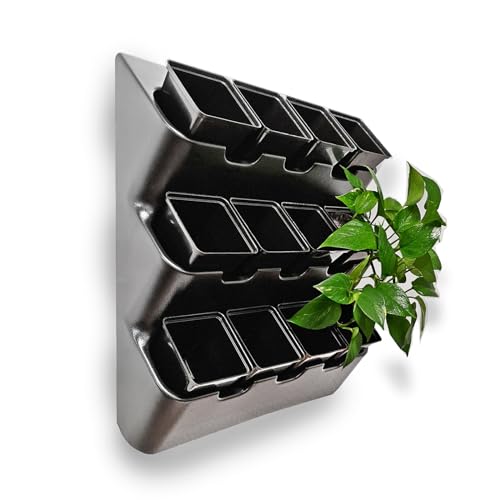 White Wall Planter with Black Square Pots Q593