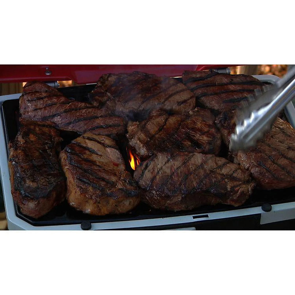 Portable LP Gas Grill A5469
