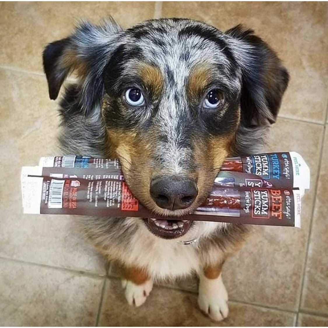 Beef Dog Treats R27107