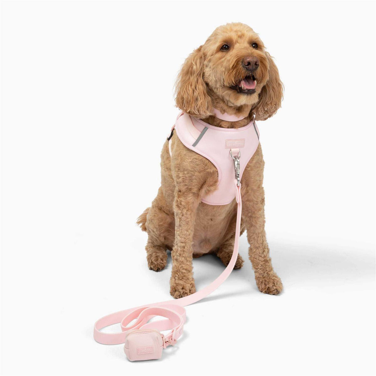Neoprene Dog Harness A754