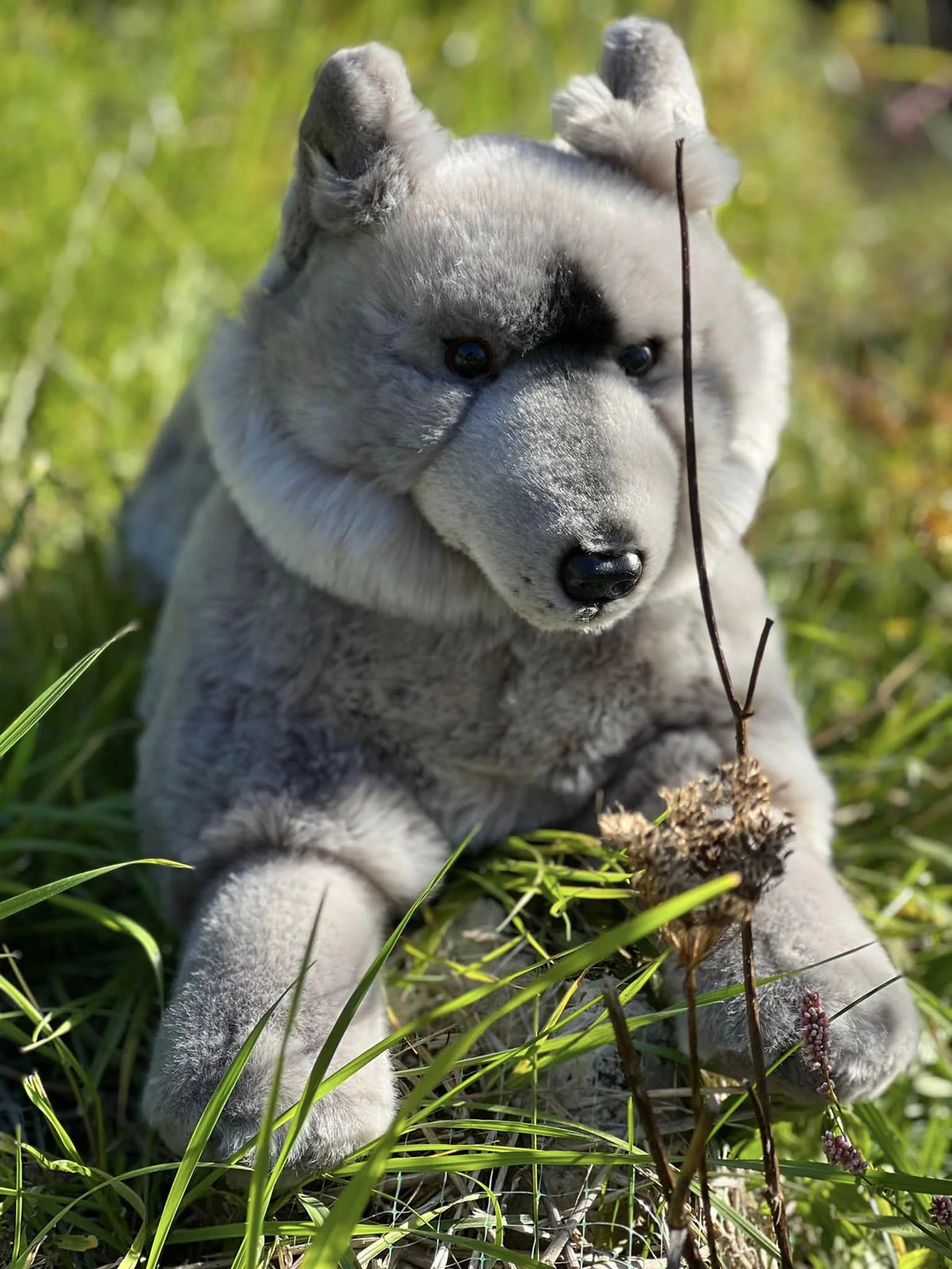 Grey Wolf Plush Stuffed Animal U42795