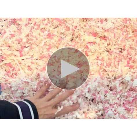 Natural Paper Bedding with Rose Petals X16020