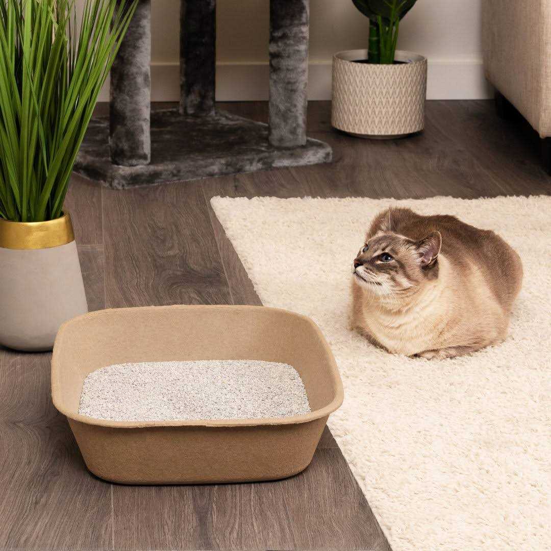 Disposable Sifting Litter Box E387680