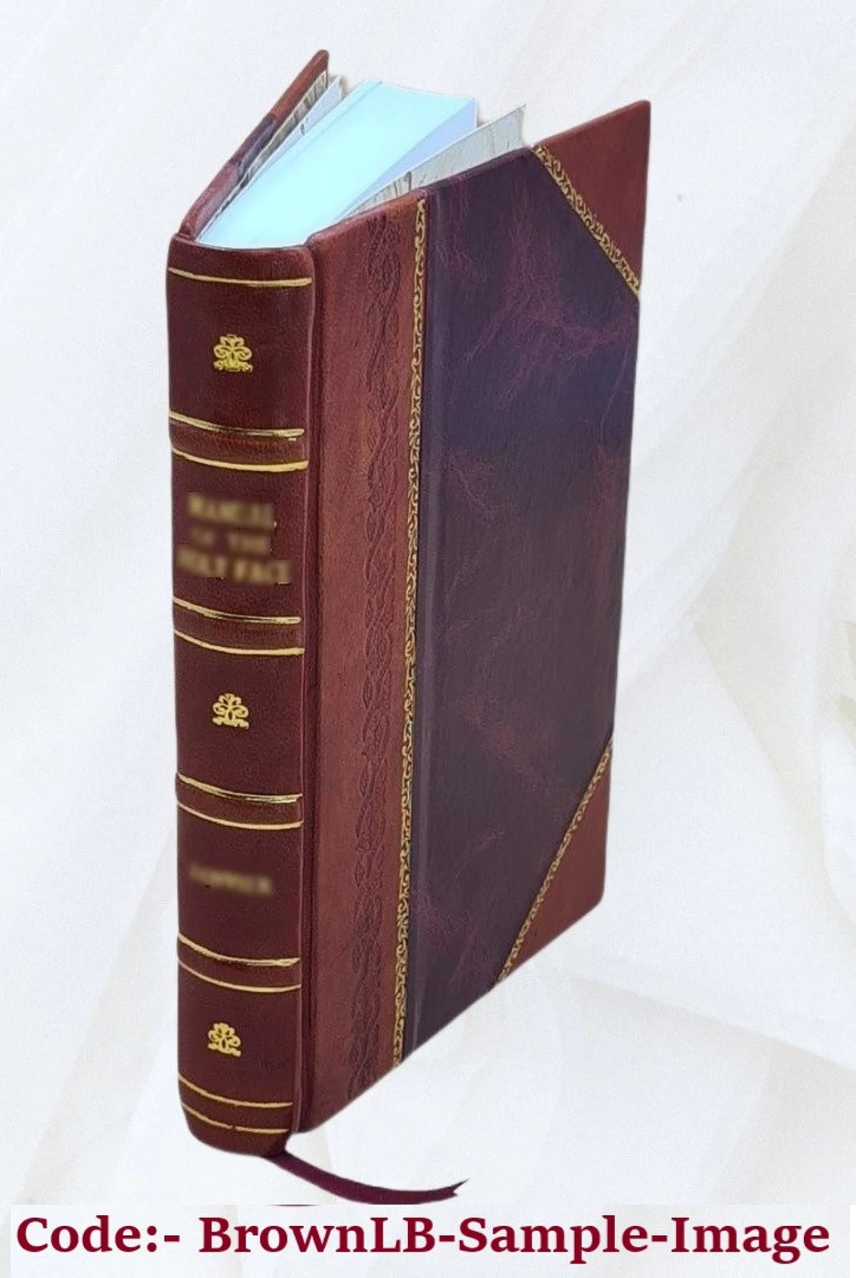 Leather Bound Z454