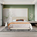 Beige Queen Size Upholstered Storage Bed Z7629