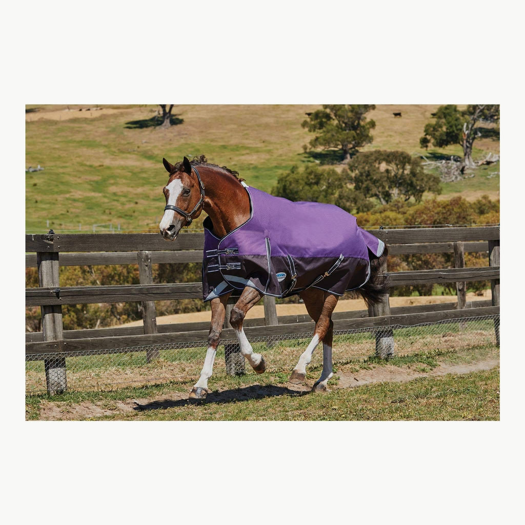 Purple Medium Lite Standard Neck Horse Blanket U8556