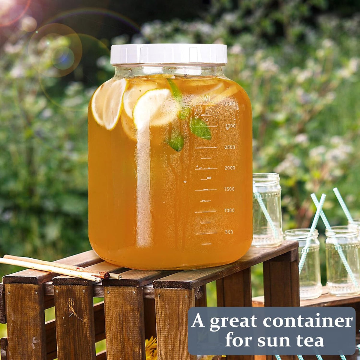 Wide Mouth 1 Gallon Clear Glass Mason Jar with Lid Z151717