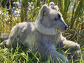 Grey Wolf Plush Stuffed Animal U42795