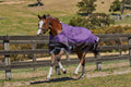 Purple Medium Lite Standard Neck Horse Blanket U8556