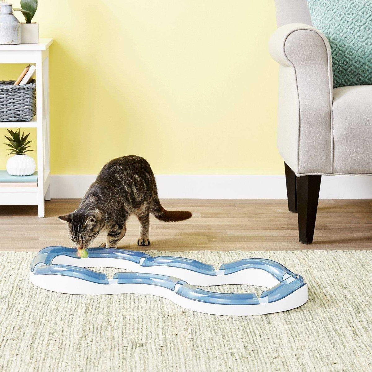 Super Roller Circuit Cat Toy A259