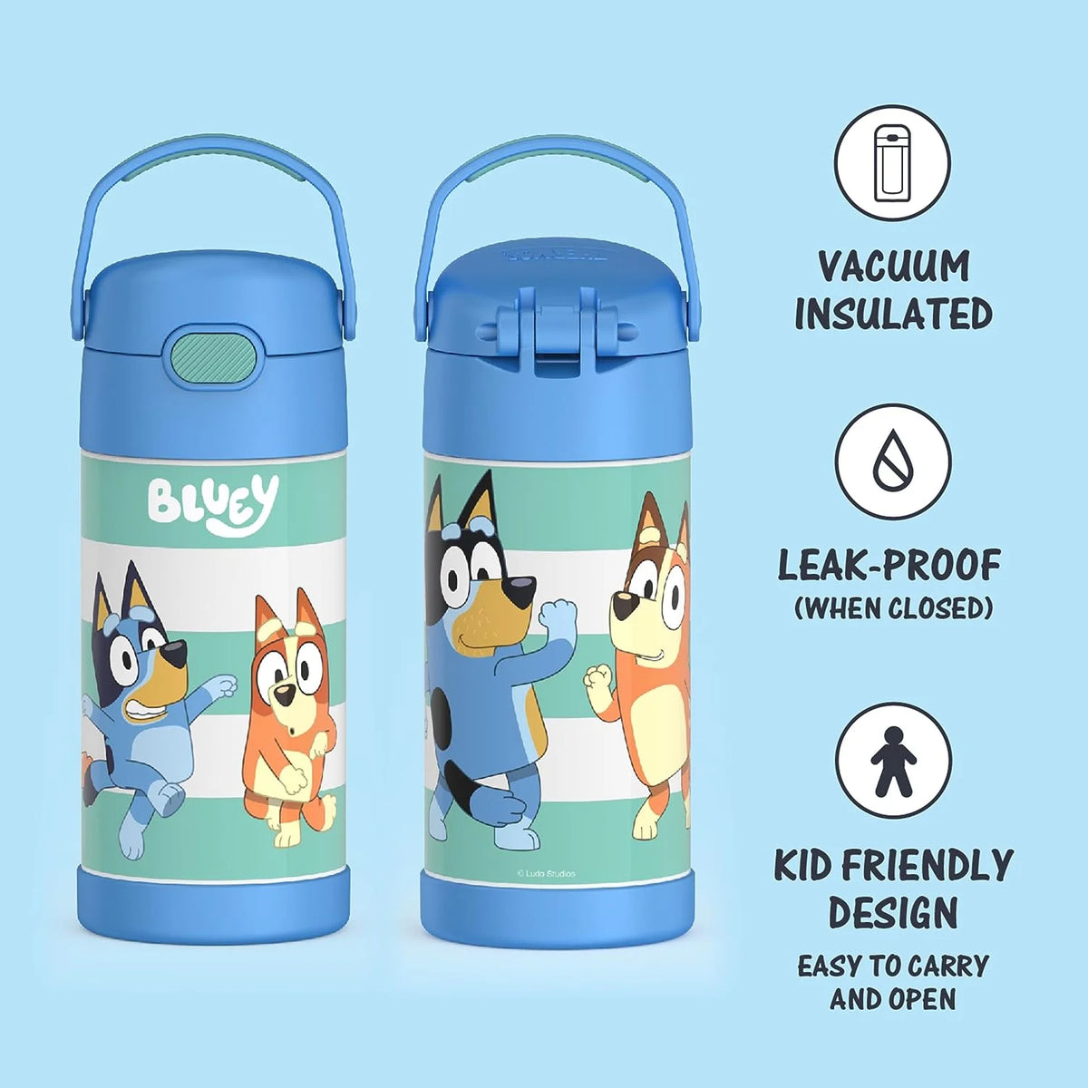 Bluey 12 Ounce Stainless Steel Kids Straw Bottle M5668