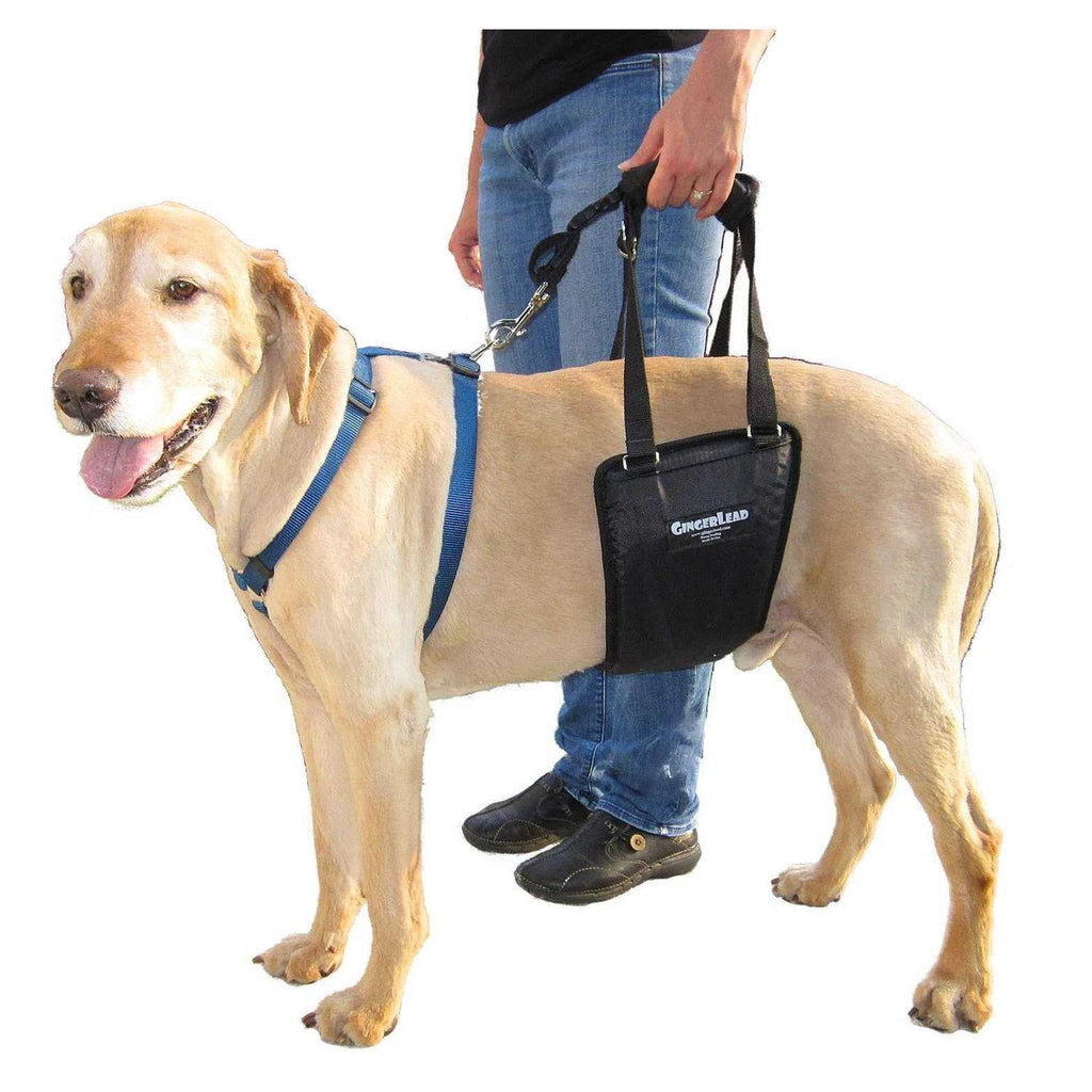 Dog Support Rehabilitation Harness Y840
