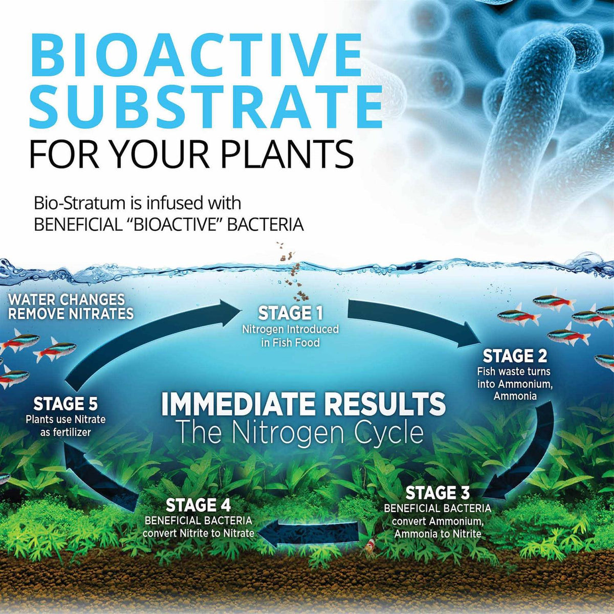 Bio Stratum Fluval - Pet Supplies N624815