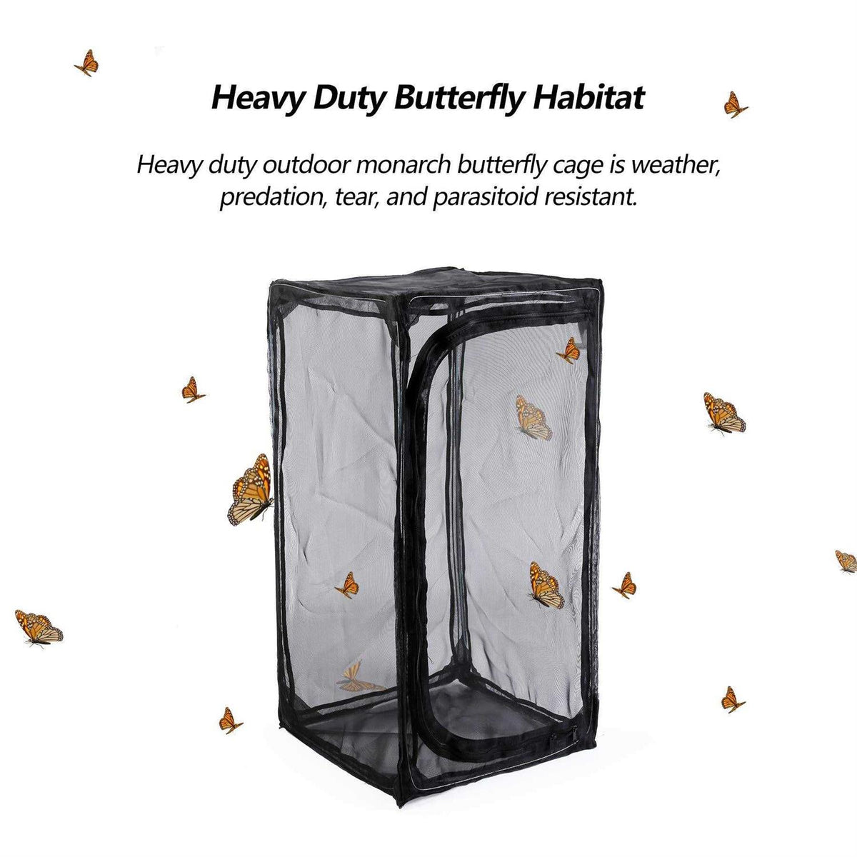 Collapsible Mesh Insect Cage with Zipper B22551