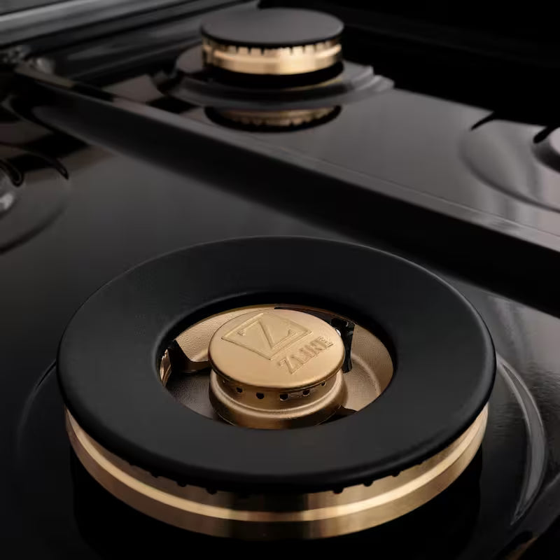 7 Burner Double Oven Dual Fuel Range with Brass Burners in Stainless Steel H863