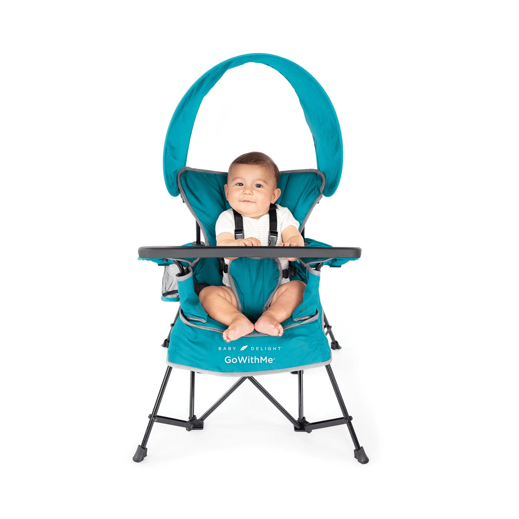 Portable Infant Chair with Removable Canopy, Teal D427