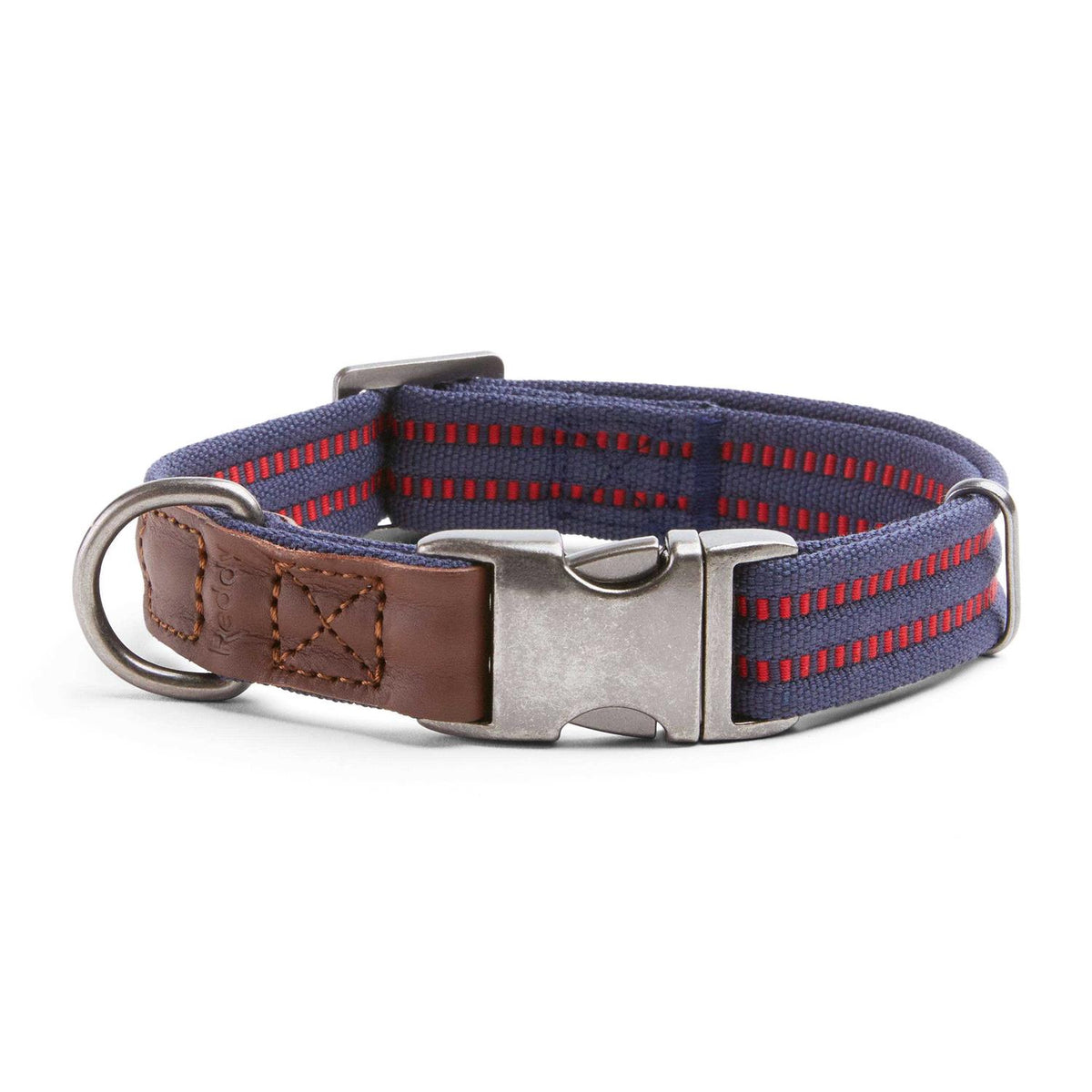 Webbed Dog Collar V333