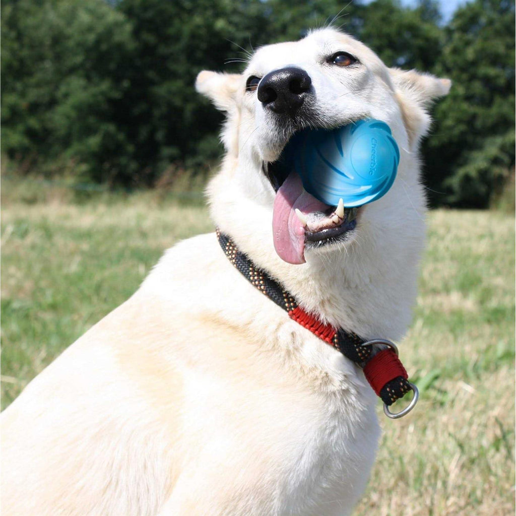 Automatic Interactive Dog Ball Toy R53698