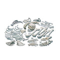 Disarticulated Human Skeleton M135832