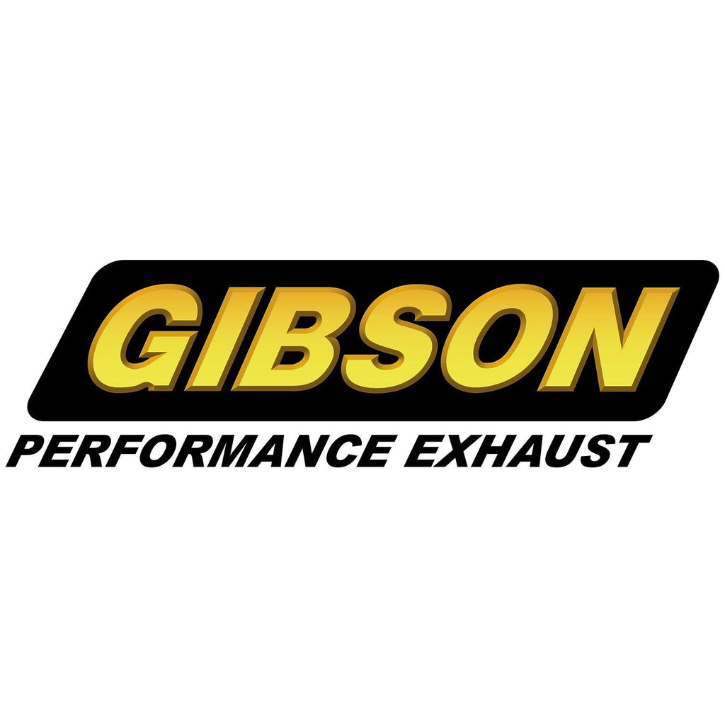 Cat-Back Dual Split Stainless Exhaust System T865668