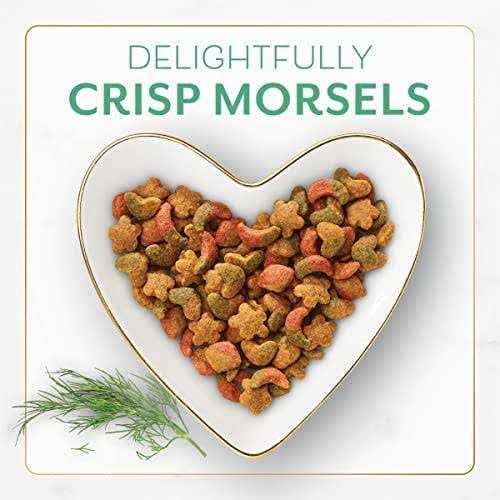 Ocean Fish and Salmon Dry Cat Food O548