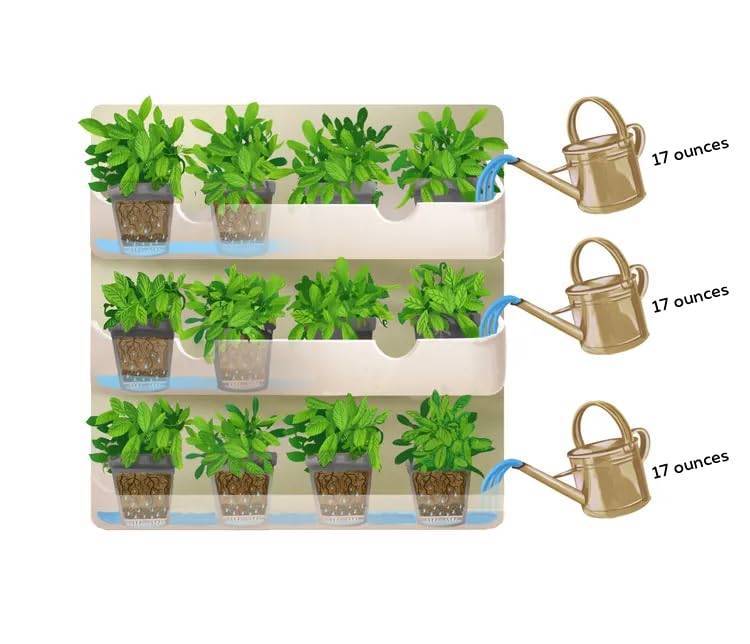 White Wall Planter with Black Square Pots Q593