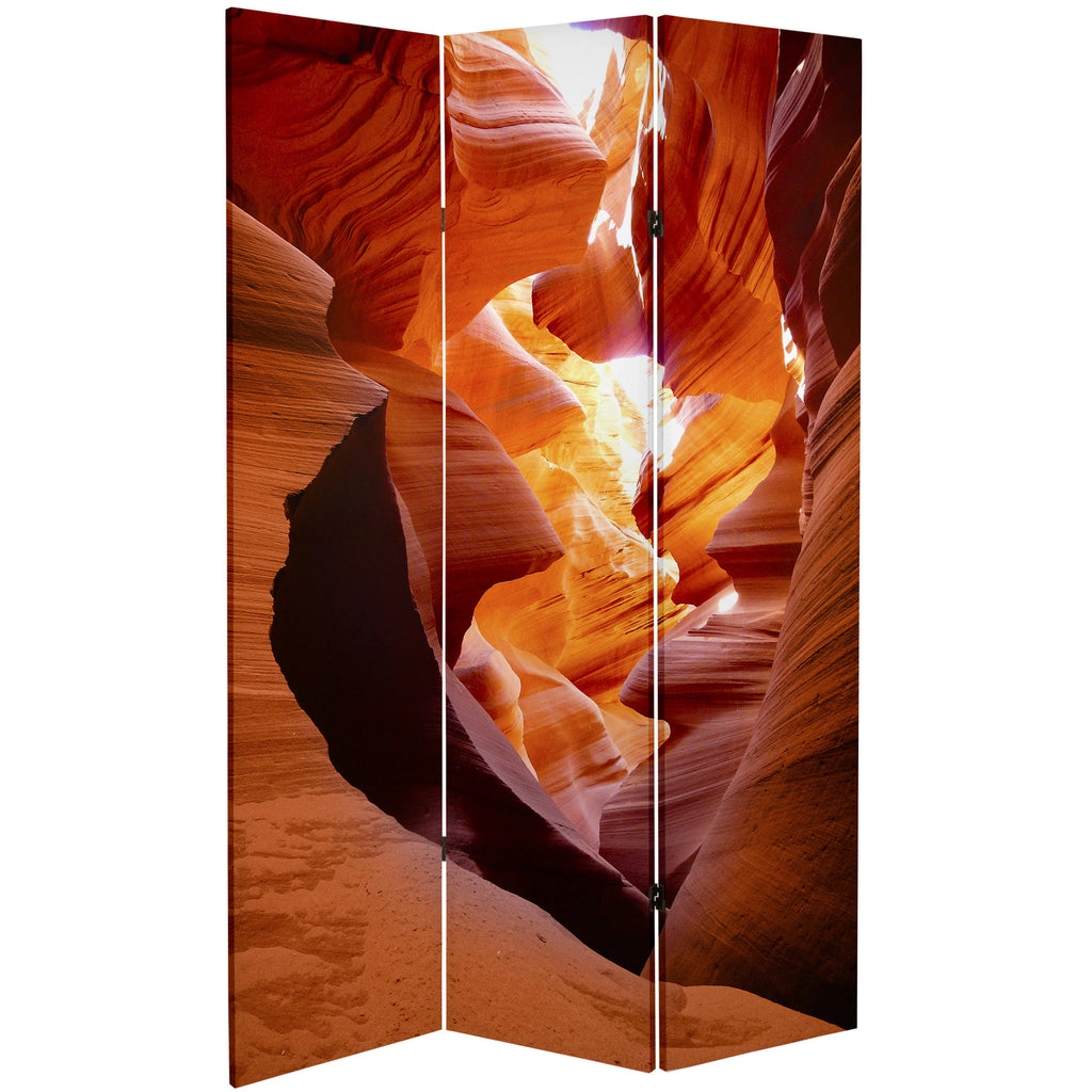 Tall Double Sided Painted Desert Canvas Room Divider P1272