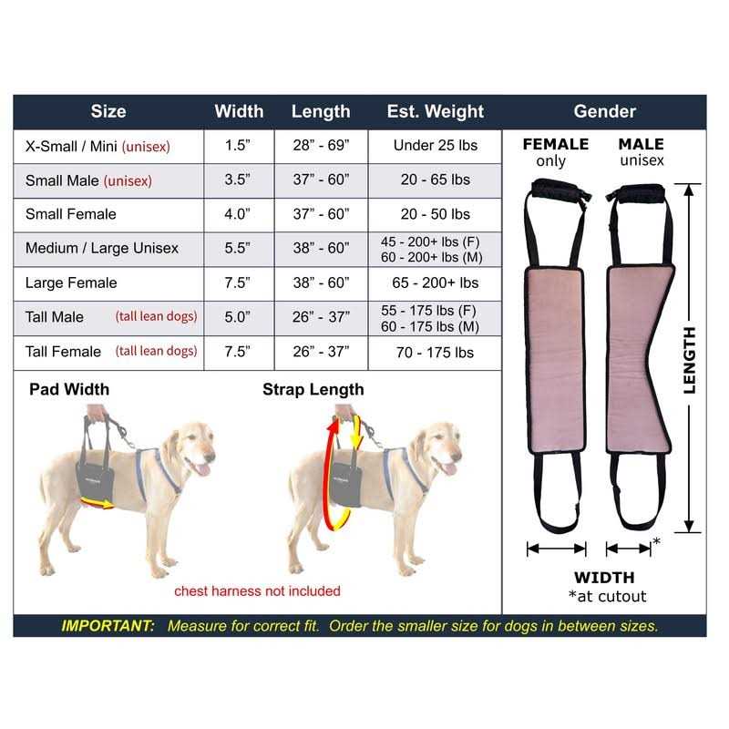 Dog Support Rehabilitation Harness Y840