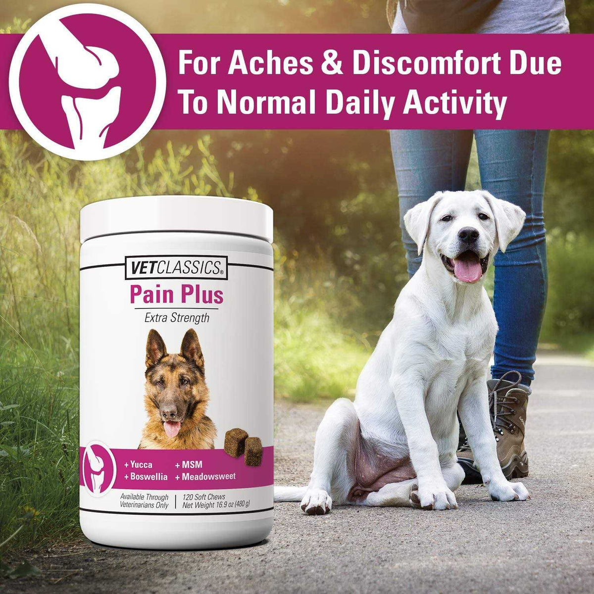 Pain Plus for Dogs U788998