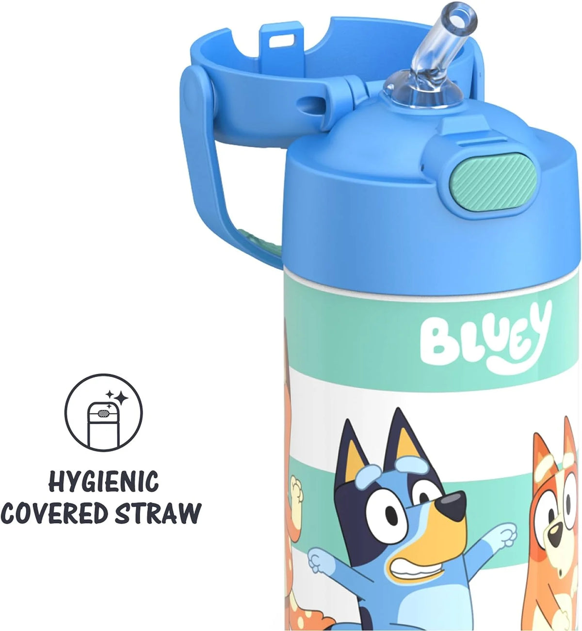Bluey 12 Ounce Stainless Steel Kids Straw Bottle M5668