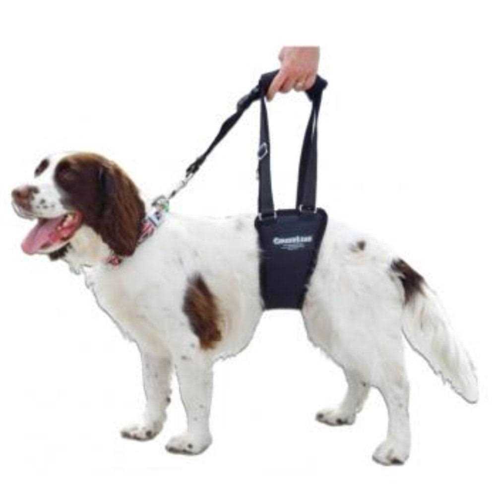 Dog Support Rehabilitation Harness Y840