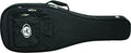 Acoustic Guitar Case Z68526