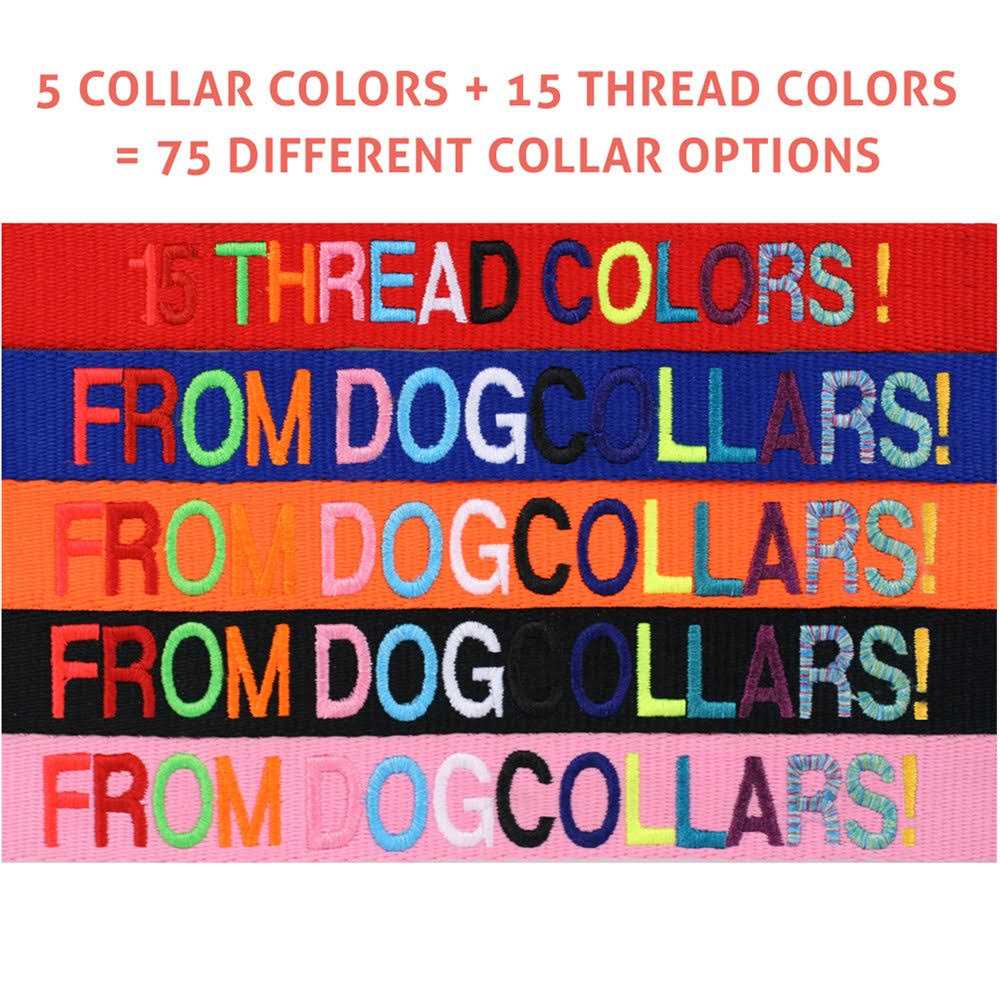 Personalized Dog Collar O74775