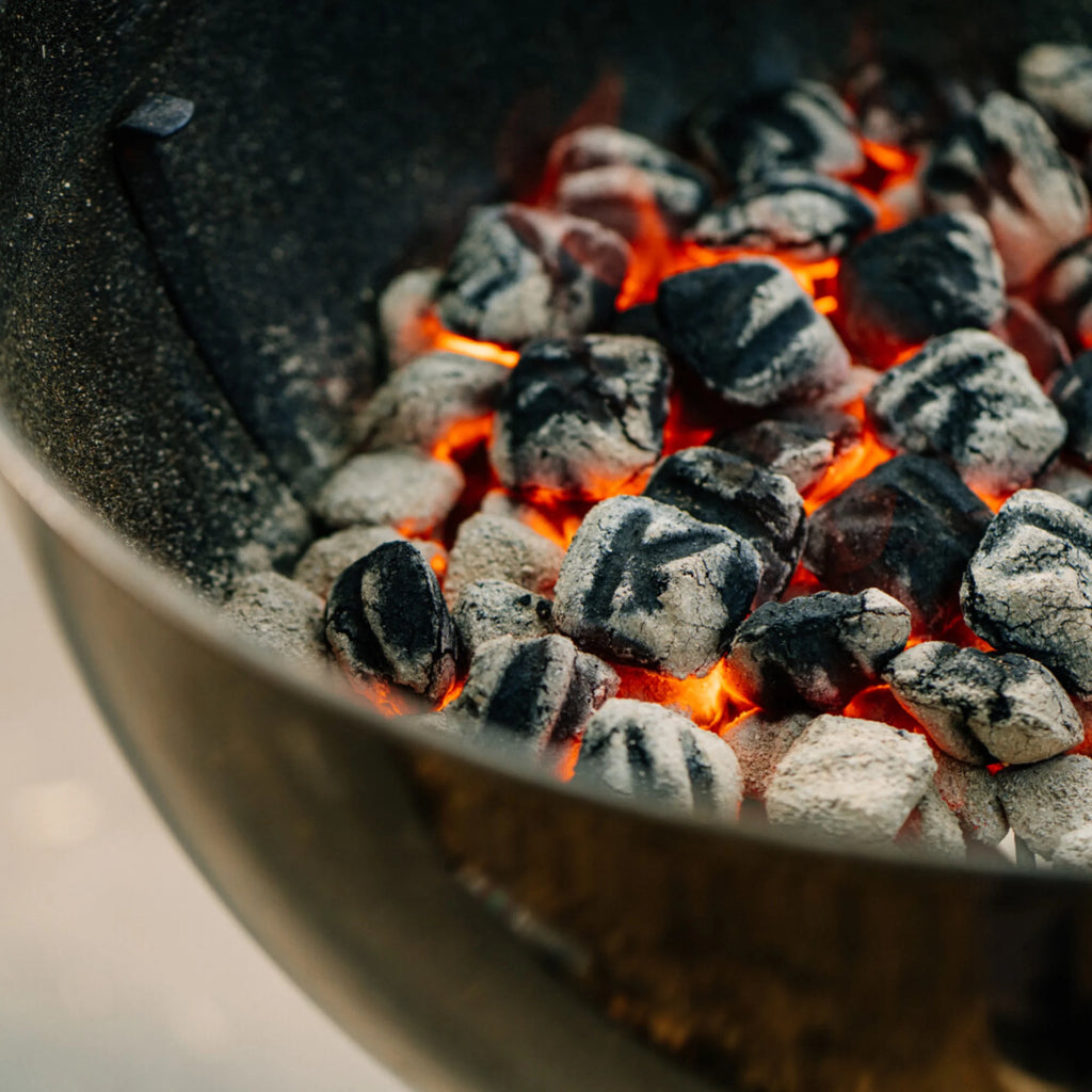8 lbs BBQ and Hickory Charcoal Briquettes M816962
