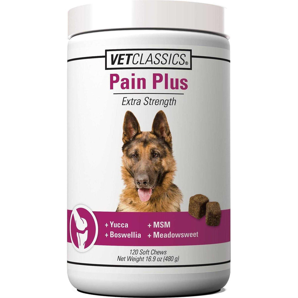Pain Plus for Dogs U788998