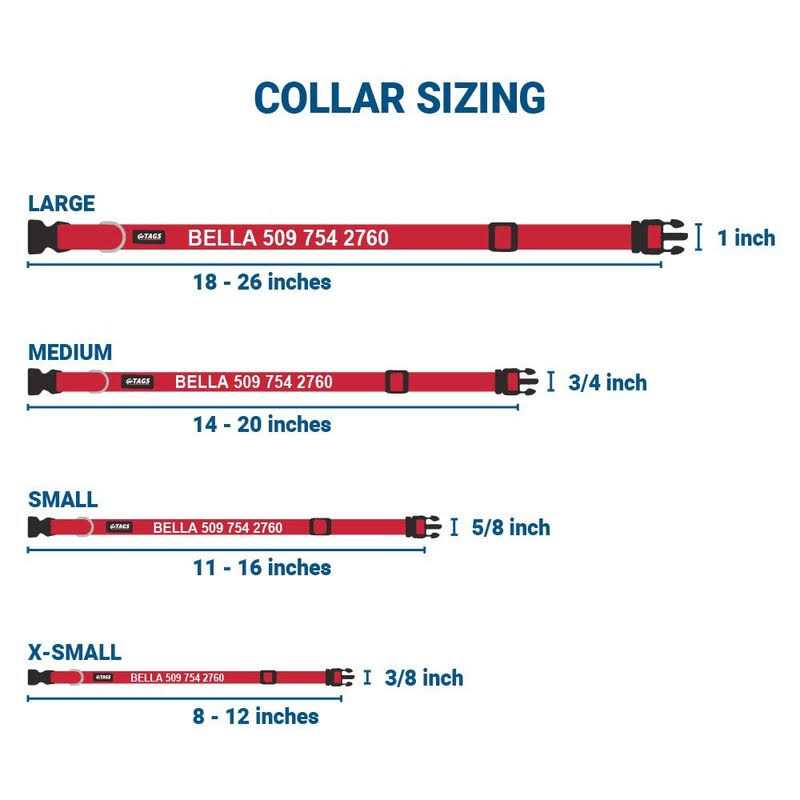 Personalized Dog Collar O74775