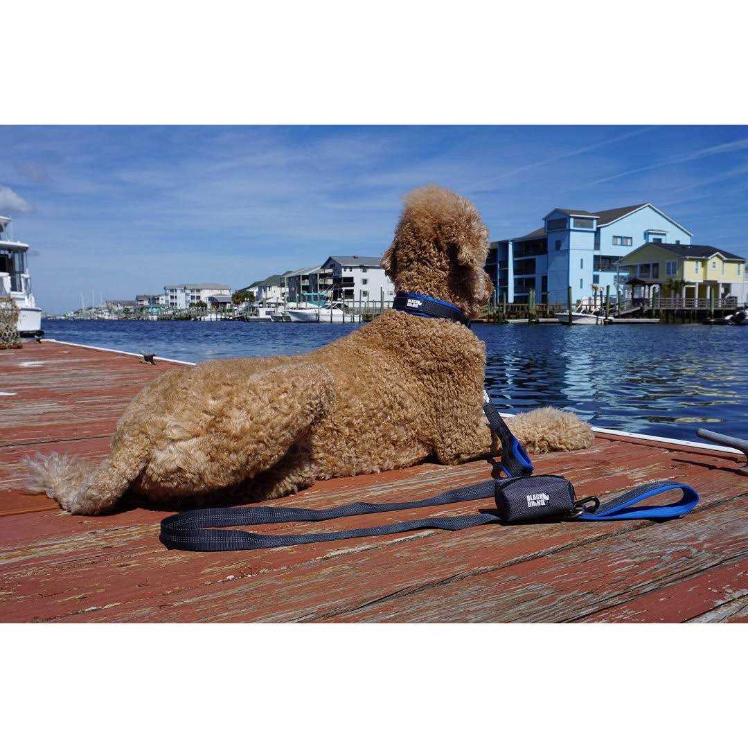 Heavy Duty Dog Leash W806136