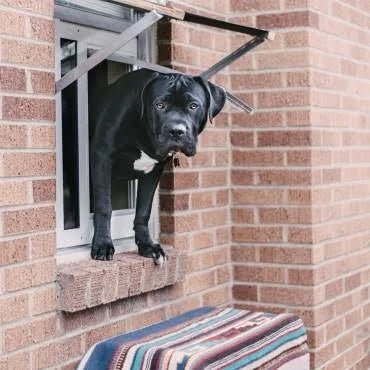Bronze Pet Door Flap Y384