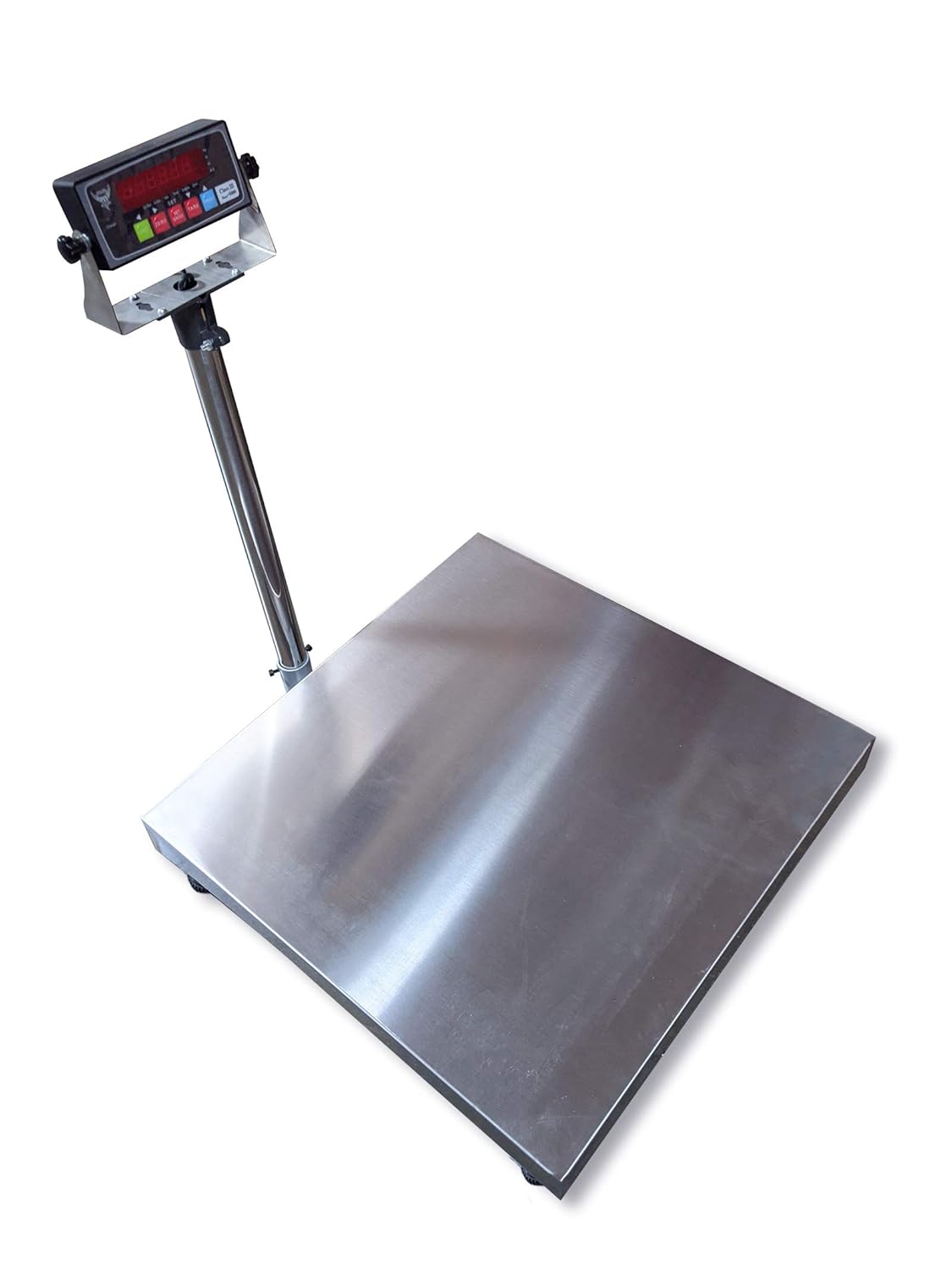 Stainless Steel Bench Scale with NTEP Approval Indicator B85620