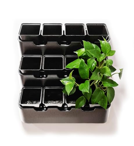 White Wall Planter with Black Square Pots Q593