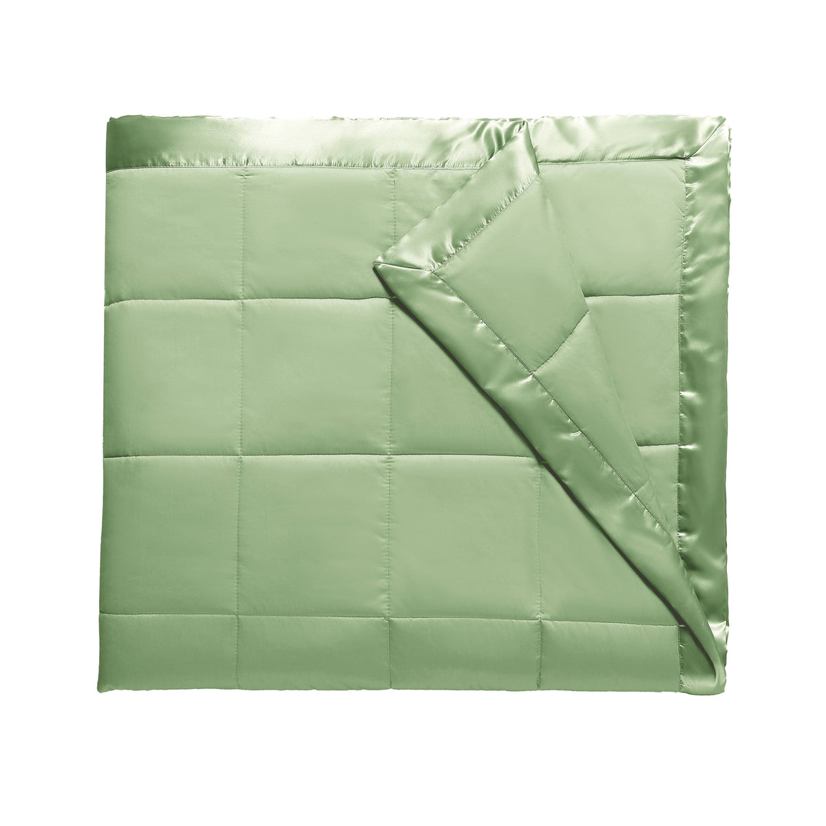 Microfiber Down Alternative King Blanket P62251
