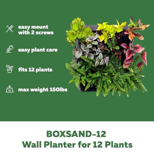White Wall Planter with Black Square Pots Q593